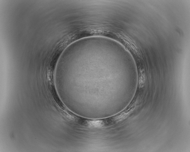 X0000116040281200911201351