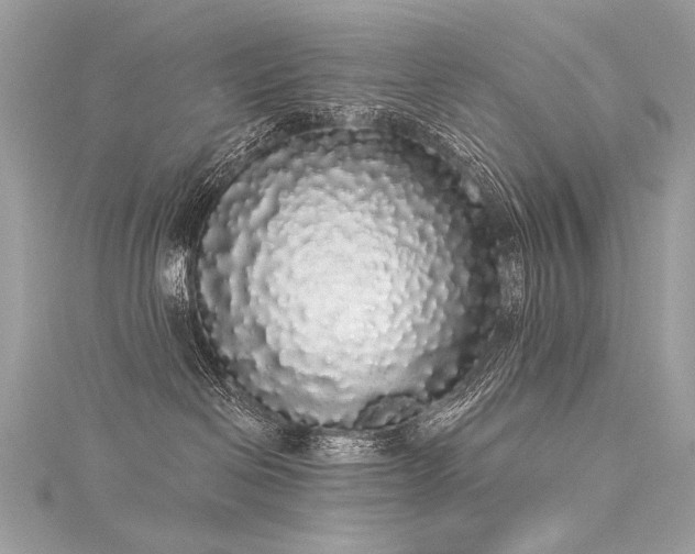 X0000116040286200911201351