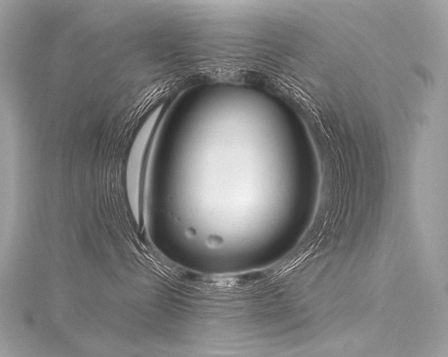 X0000116040288200911201351