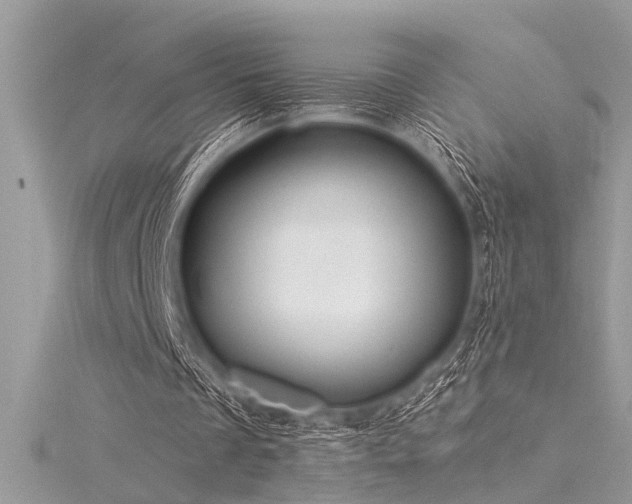X0000116040289200911201351