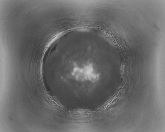 X0000116040292200911201351