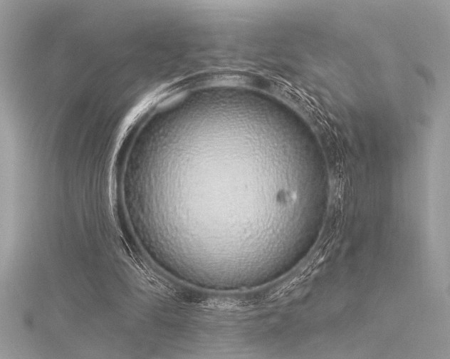 X0000116040294200911201351