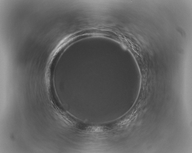 X0000116040295200911201351