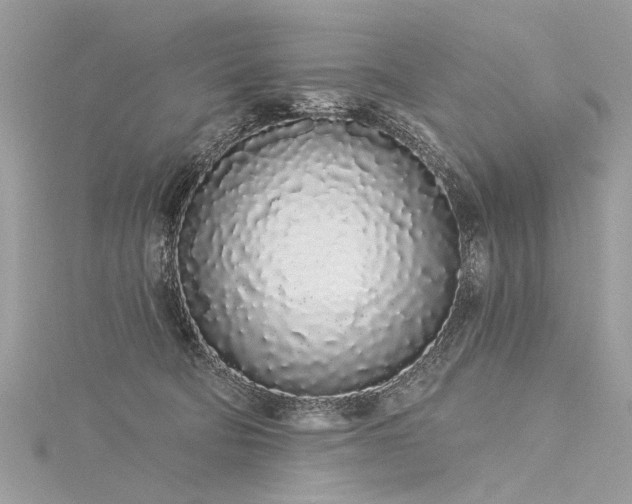 X0000116040322200911201350