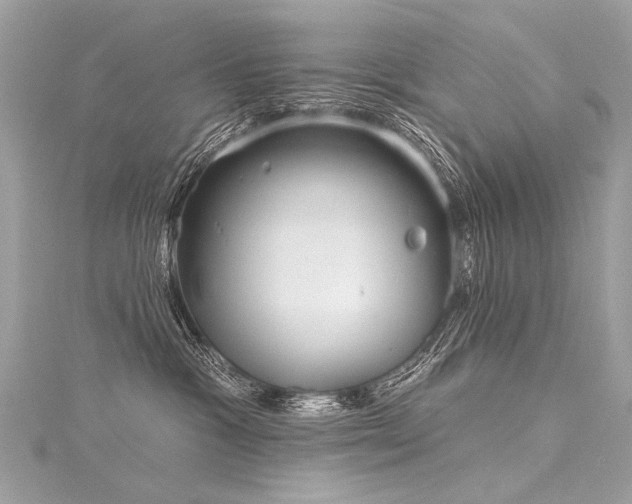 X0000116040333200911201350