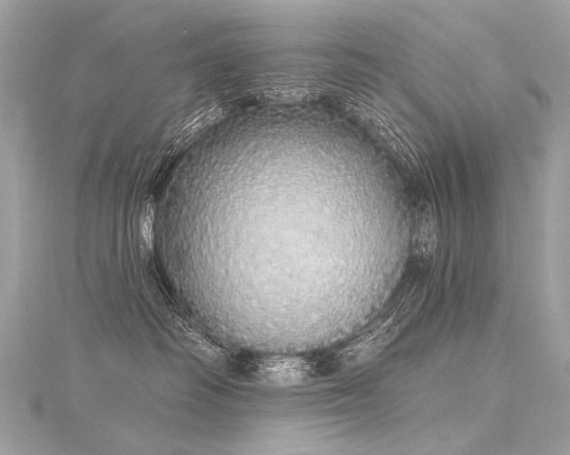 X0000116040334200911201350