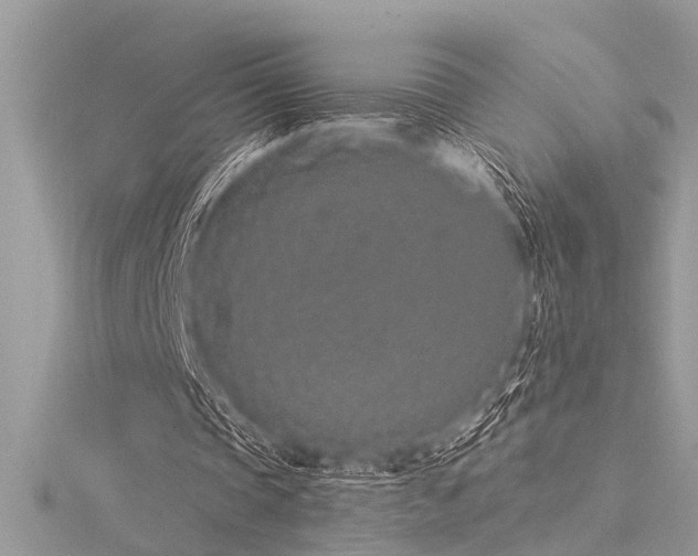 X0000116040337200911201349