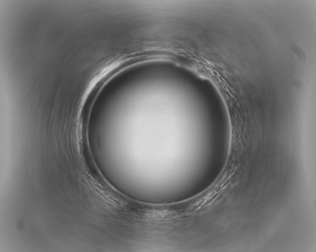 X0000116040342200911201349