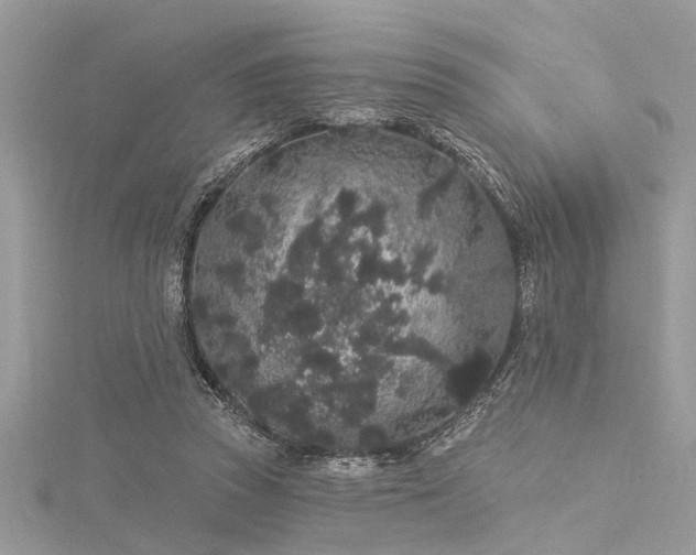X0000116040353200911201350