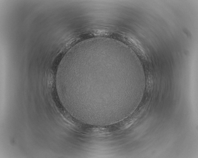X0000116040367200911201350