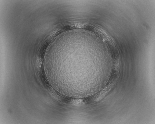 X0000116040374200911201350
