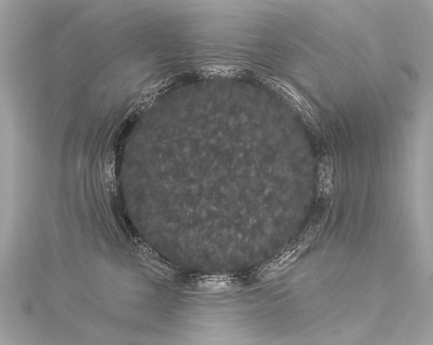 X0000116040377200911201350