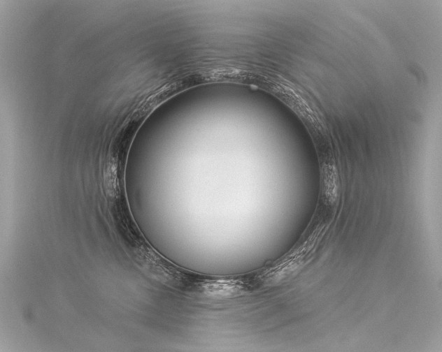 X0000116040378200911201350