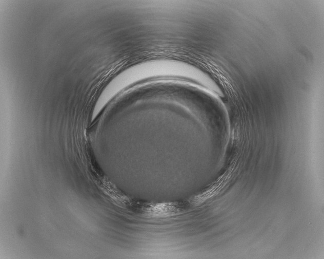 X0000116040382200911201350