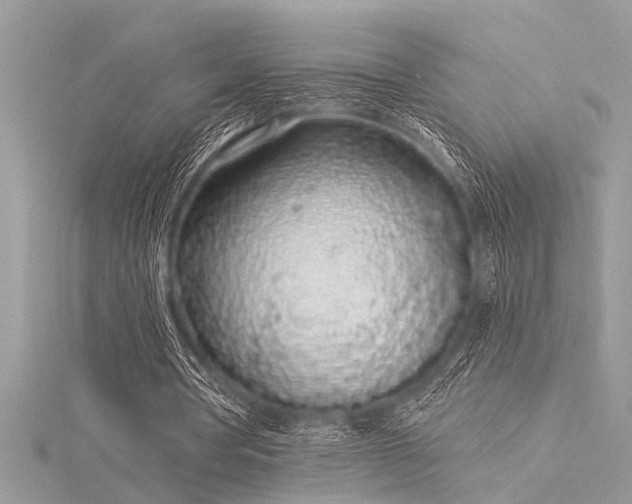 X0000116040386200911201349
