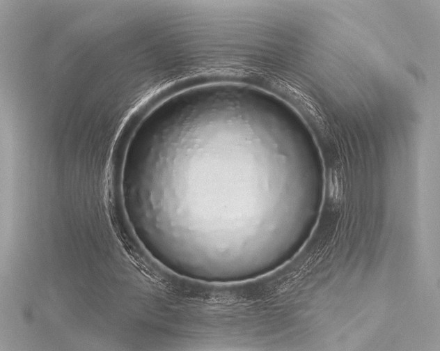 X0000116040388200911201349
