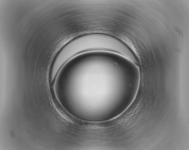 X0000116040389200911201349