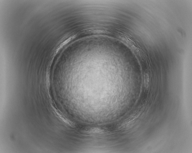 X0000116040390200911201349