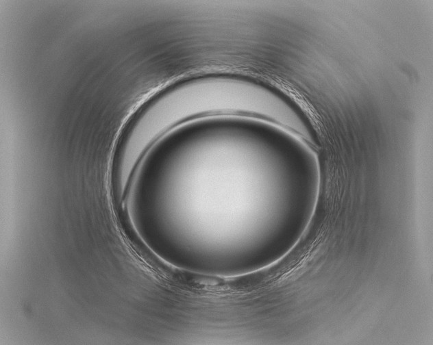 X0000116040391200911201349