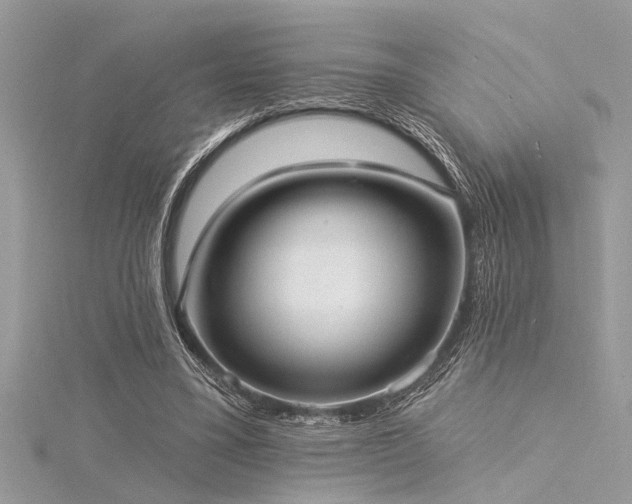 X0000116040395200911201349