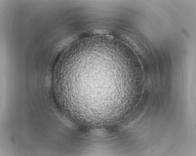 X0000116040402200911201349