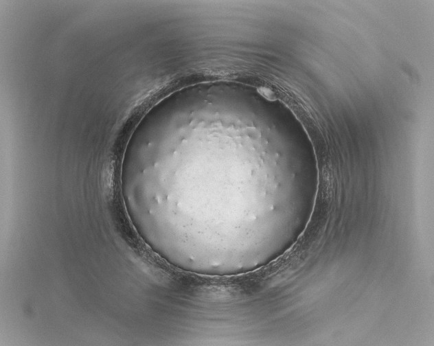 X0000116040404200911201349