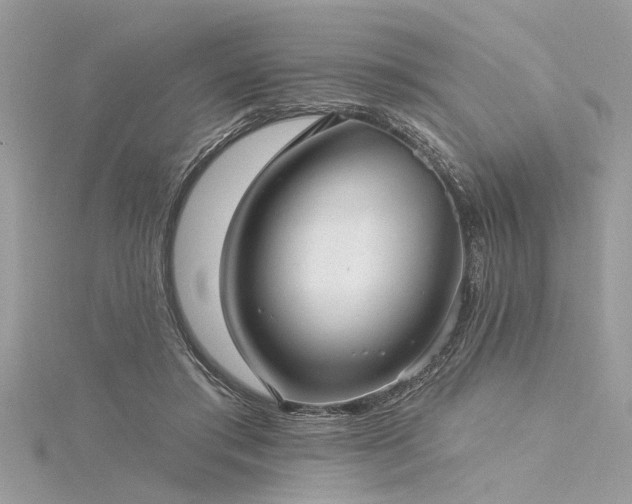 X0000116040405200911201349