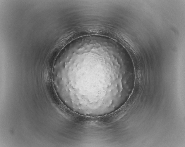 X0000116040408200911201349