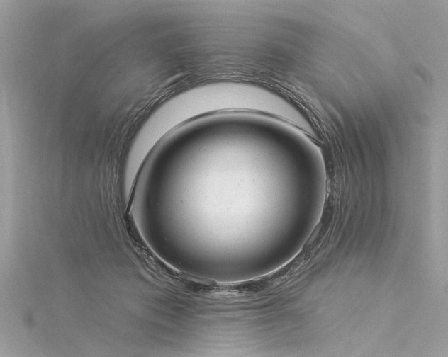 X0000116040413200911201349