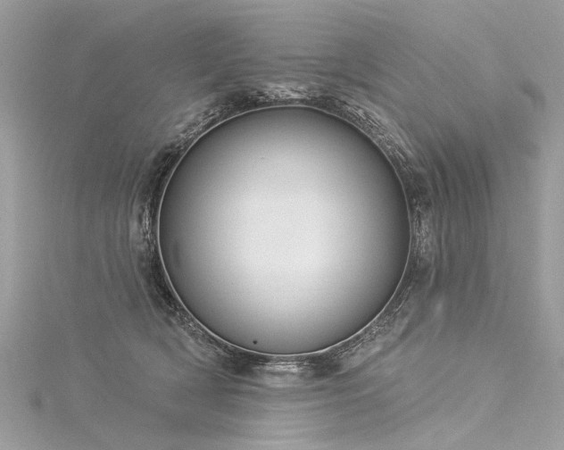 X0000116040418200911201349