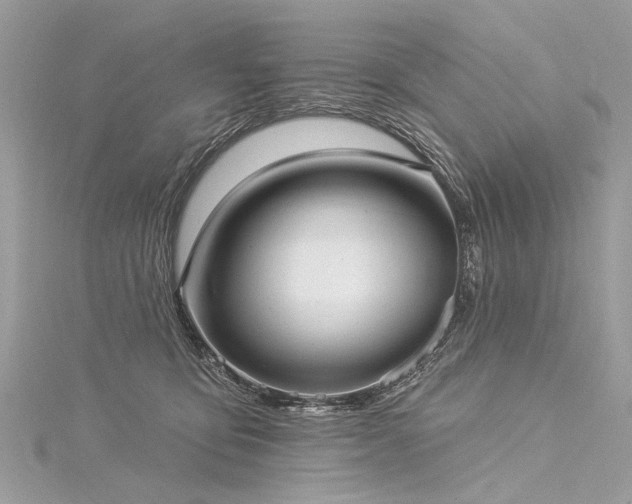 X0000116040419200911201349
