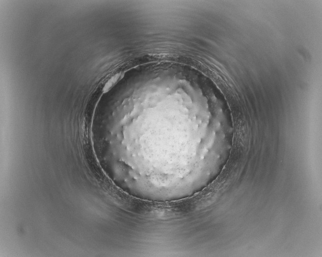 X0000116040420200911201349