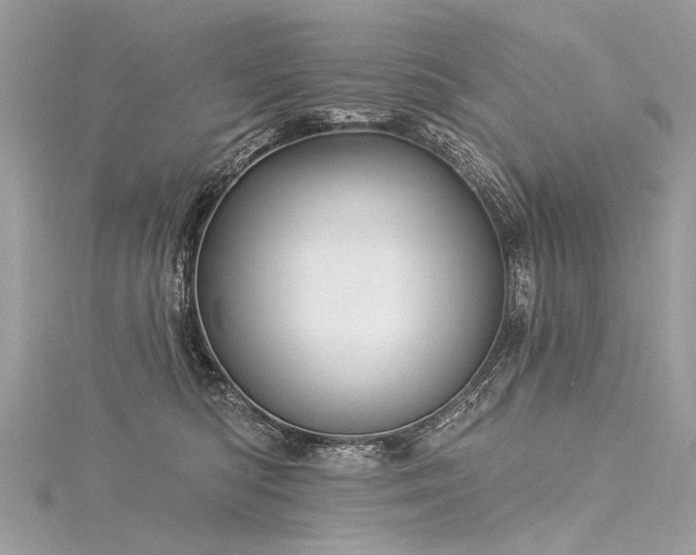 X0000116040422200911201349