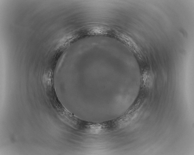 X0000116040423200911201349