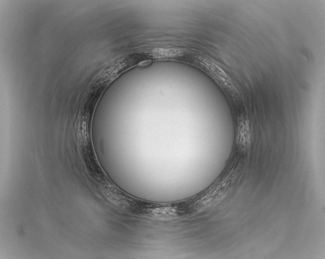 X0000116040426200911201349
