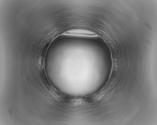 X0000116040428200911201349