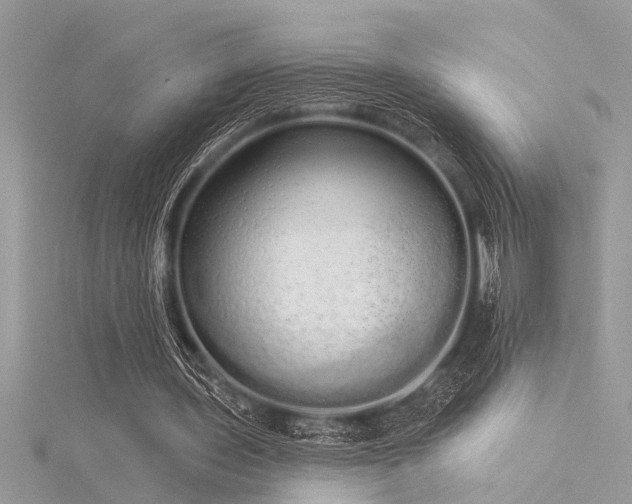 X0000116040435200911201348