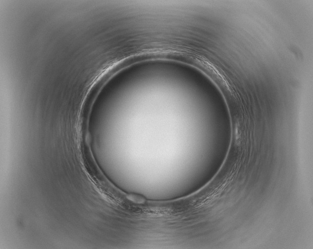 X0000116040436200911201348