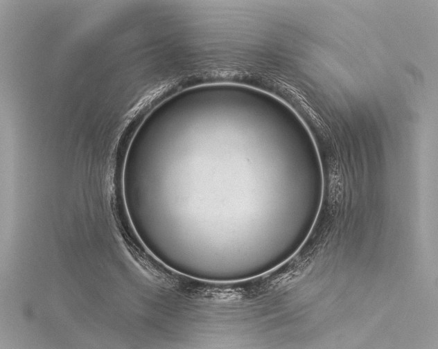 X0000116040443200911201348