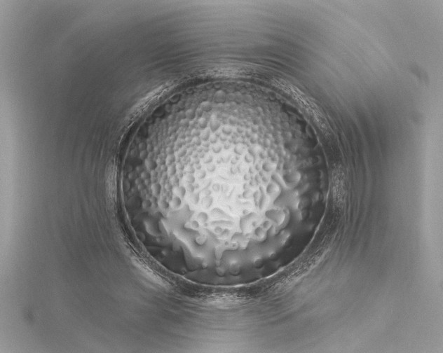 X0000116040445200911201348