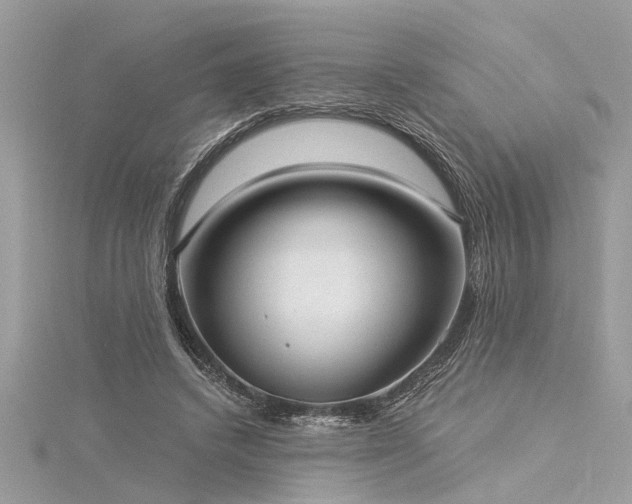 X0000116040448200911201348
