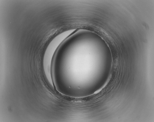 X0000116040452200911201348