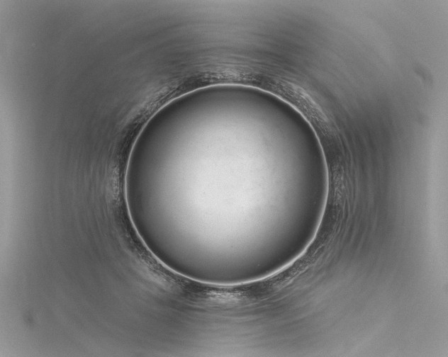 X0000116040457200911201348