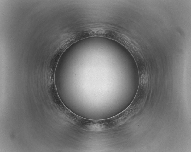 X0000116040464200911201348