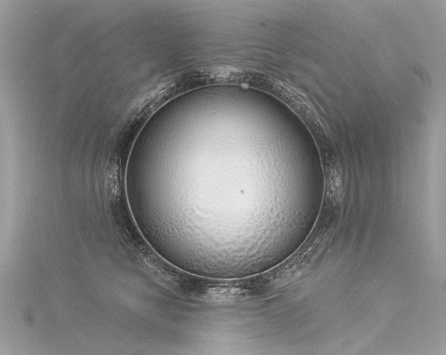X0000116040470200911201349
