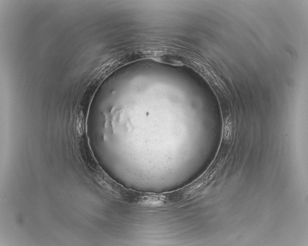 X0000116040474200911201349
