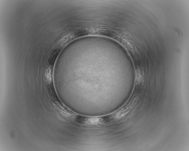 X0000116040479200911201349