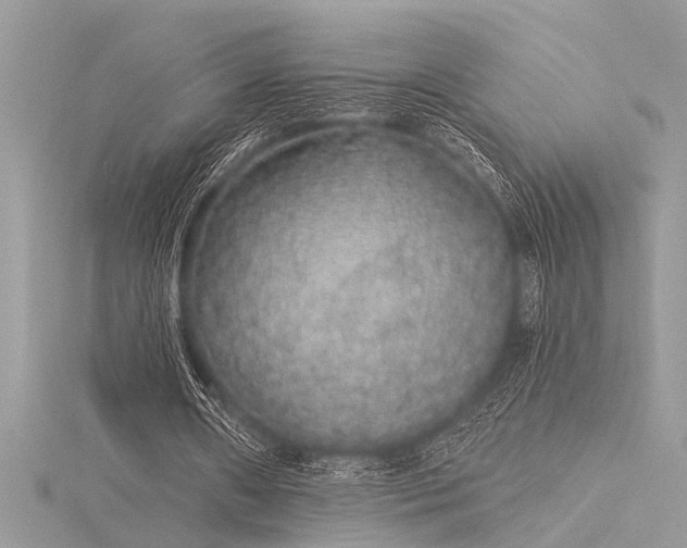 X0000116040482200911201348