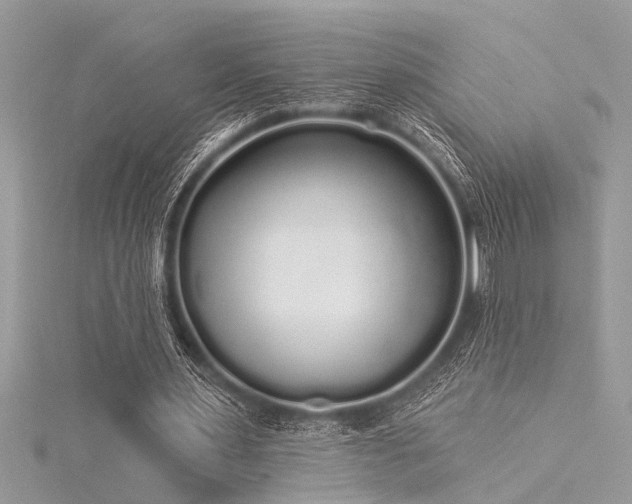 X0000116040483200911201348