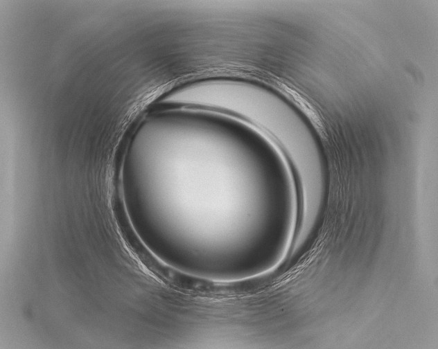 X0000116040485200911201348